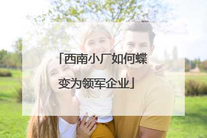 西南小厂如何蝶变为领军企业