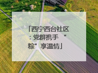 西宁西台社区：党群携手 “粽”享温情
