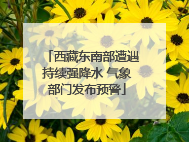 西藏东南部遭遇持续强降水 气象部门发布预警