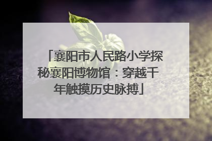 襄阳市人民路小学探秘襄阳博物馆：穿越千年触摸历史脉搏