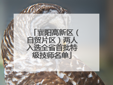 襄阳高新区（自贸片区）两人入选全省首批特级技师名单