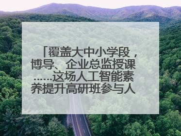 覆盖大中小学段，博导、企业总监授课……这场人工智能素养提升高研班参与人次达30万