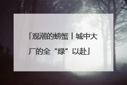 观潮的螃蟹丨城中大厂的全“绿”以赴