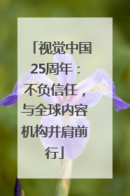 视觉中国25周年：不负信任，与全球内容机构并肩前行