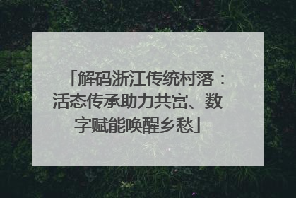 解码浙江传统村落：活态传承助力共富、数字赋能唤醒乡愁
