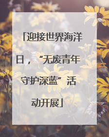 迎接世界海洋日，“无废青年 守护深蓝”活动开展