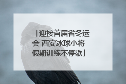 迎接首届省冬运会 西安冰球小将假期训练不停歇