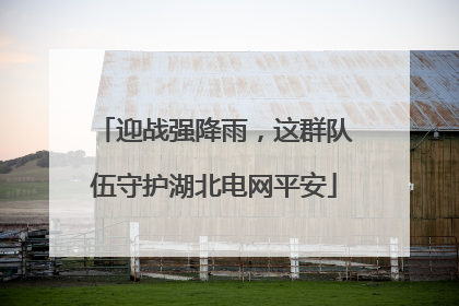 迎战强降雨，这群队伍守护湖北电网平安