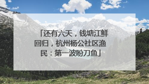 还有六天，钱塘江鲜回归，杭州杨公社区渔民：第一波盼刀鱼