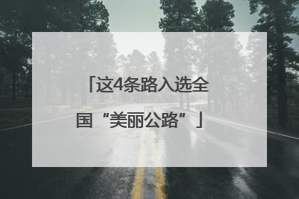 这4条路入选全国“美丽公路”