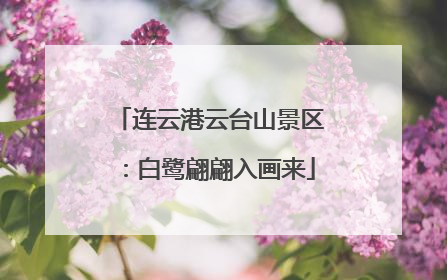 连云港云台山景区：白鹭翩翩入画来