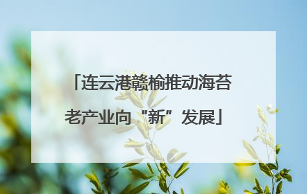 连云港赣榆推动海苔老产业向“新”发展