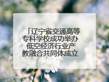 辽宁省交通高等专科学校成功举办 低空经济行业产教融合共同体成立大会暨共建低空经济产教融合新生态论坛