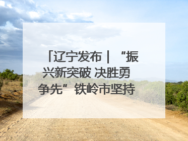 辽宁发布｜“振兴新突破 决胜勇争先”铁岭市坚持“项目为王”推进经济高质量发展