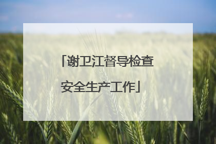 谢卫江督导检查安全生产工作