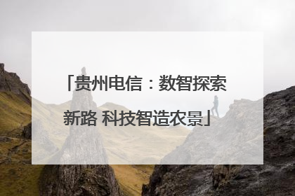 贵州电信：数智探索新路 科技智造农景