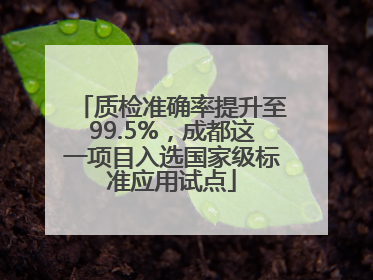 质检准确率提升至99.5%，成都这一项目入选国家级标准应用试点