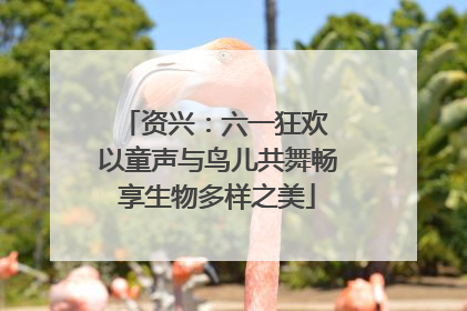 资兴：六一狂欢 以童声与鸟儿共舞畅享生物多样之美