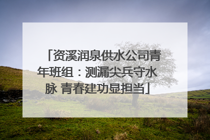 资溪润泉供水公司青年班组：测漏尖兵守水脉 青春建功显担当