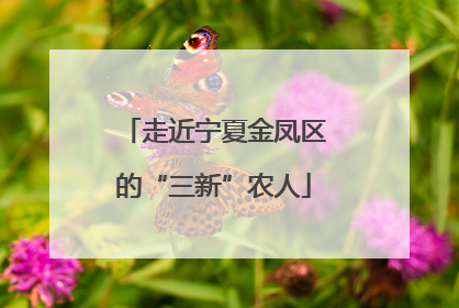 走近宁夏金凤区的“三新”农人