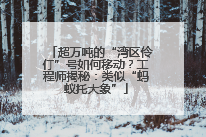 超万吨的“湾区伶仃”号如何移动？工程师揭秘：类似“蚂蚁托大象”