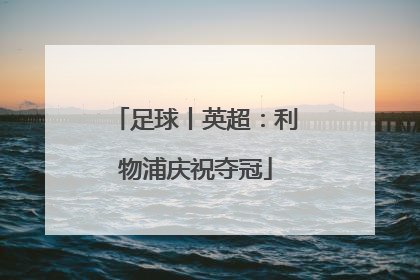 足球丨英超：利物浦庆祝夺冠