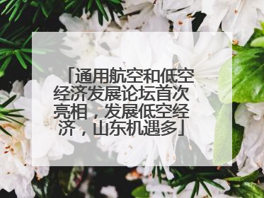 通用航空和低空经济发展论坛首次亮相，发展低空经济，山东机遇多