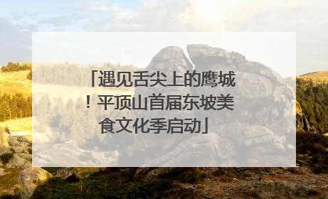 遇见舌尖上的鹰城！平顶山首届东坡美食文化季启动