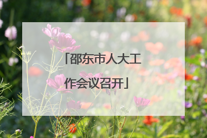 邵东市人大工作会议召开