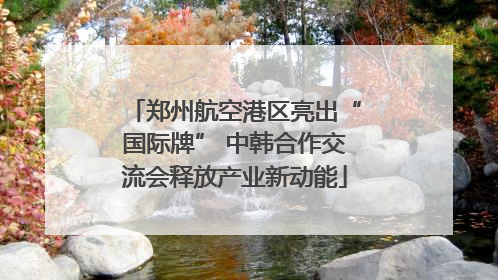 郑州航空港区亮出“国际牌” 中韩合作交流会释放产业新动能