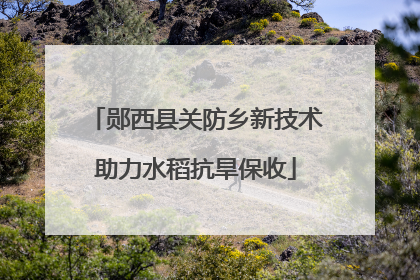 郧西县关防乡新技术助力水稻抗旱保收