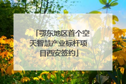 鄂东地区首个空天智慧产业标杆项目西安签约