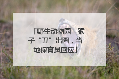 野生动物园一猴子“丑”出圈，当地保育员回应