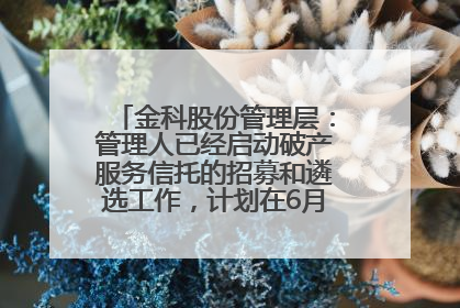 金科股份管理层：管理人已经启动破产服务信托的招募和遴选工作，计划在6月初召开评审会