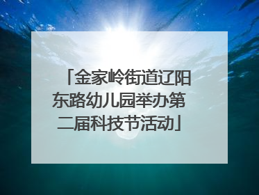 金家岭街道辽阳东路幼儿园举办第二届科技节活动