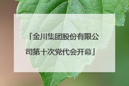 金川集团股份有限公司第十次党代会开幕