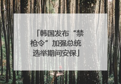 韩国发布“禁枪令”加强总统选举期间安保