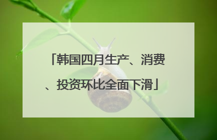 韩国四月生产、消费、投资环比全面下滑