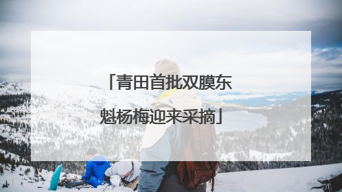 青田首批双膜东魁杨梅迎来采摘