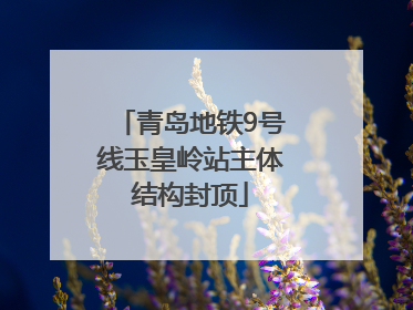 青岛地铁9号线玉皇岭站主体结构封顶