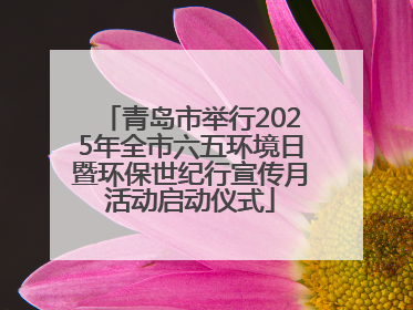 青岛市举行2025年全市六五环境日暨环保世纪行宣传月活动启动仪式