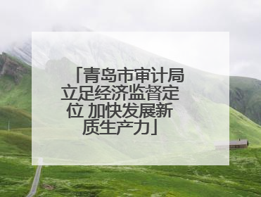 青岛市审计局立足经济监督定位 加快发展新质生产力