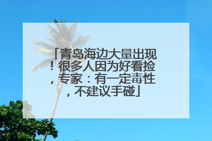 青岛海边大量出现！很多人因为好看捡，专家：有一定毒性，不建议手碰