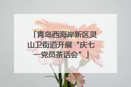 青岛西海岸新区灵山卫街道开展“庆七一党员茶话会”
