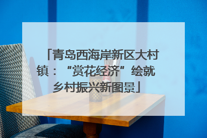 青岛西海岸新区大村镇：“赏花经济”绘就乡村振兴新图景