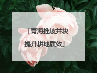 青海推坡并块提升耕地质效