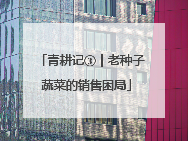 青耕记③｜老种子蔬菜的销售困局