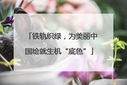 铁轨织绿，为美丽中国绘就生机“底色”