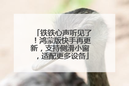 铁铁心声听见了！鸿蒙版快手再更新，支持侧滑小窗，适配更多设备
