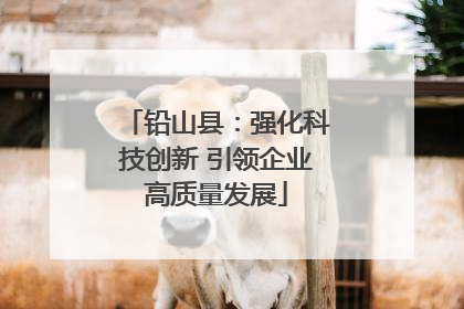 铅山县：强化科技创新 引领企业高质量发展
